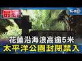花蓮沿海浪高逾5米 太平洋公園封閉禁入｜TVBS新聞 @TVBSNEWS01