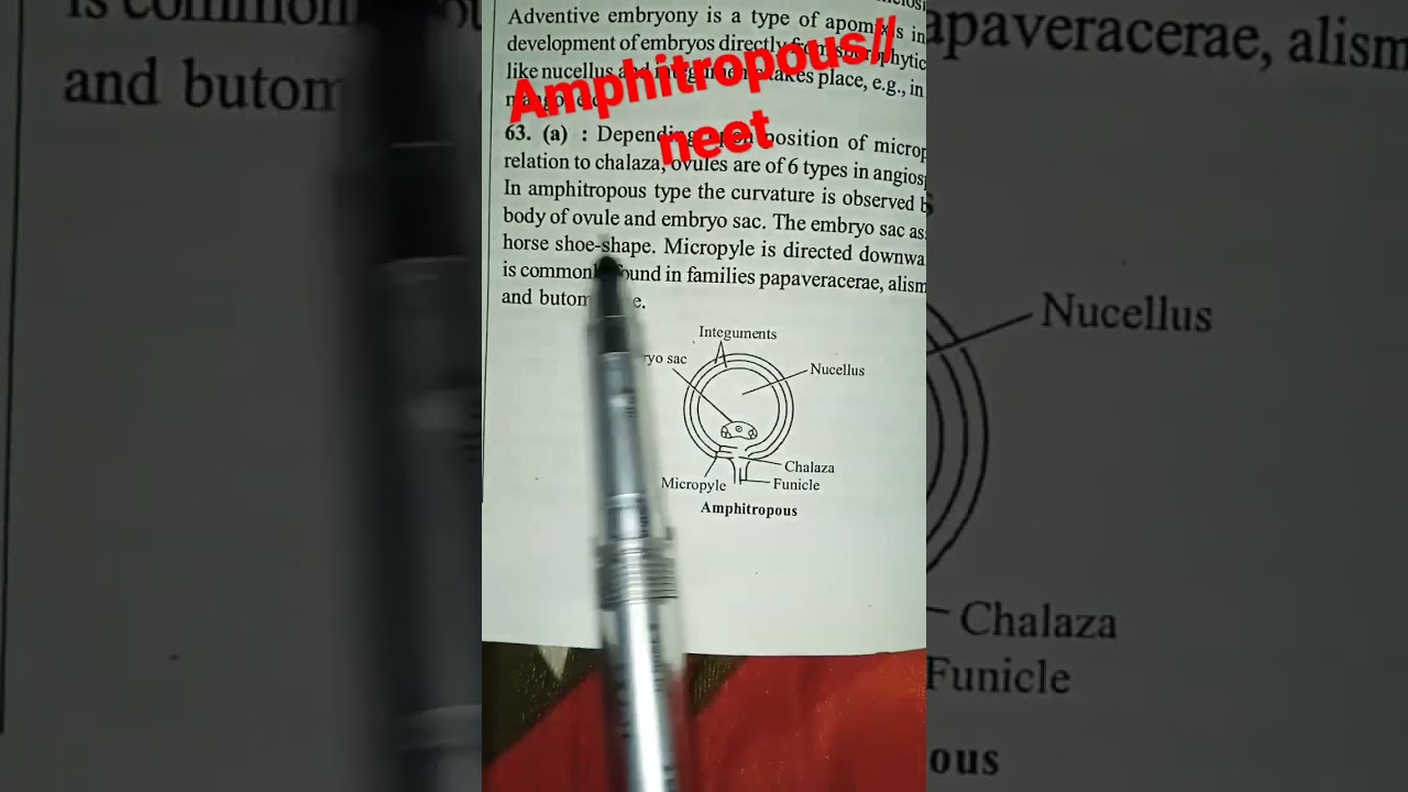 Amphitropous//biology