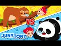 Panda vs. Sloth | The Laziest Animal on Earth | Animal Songs | Kids Songs | JunyTony