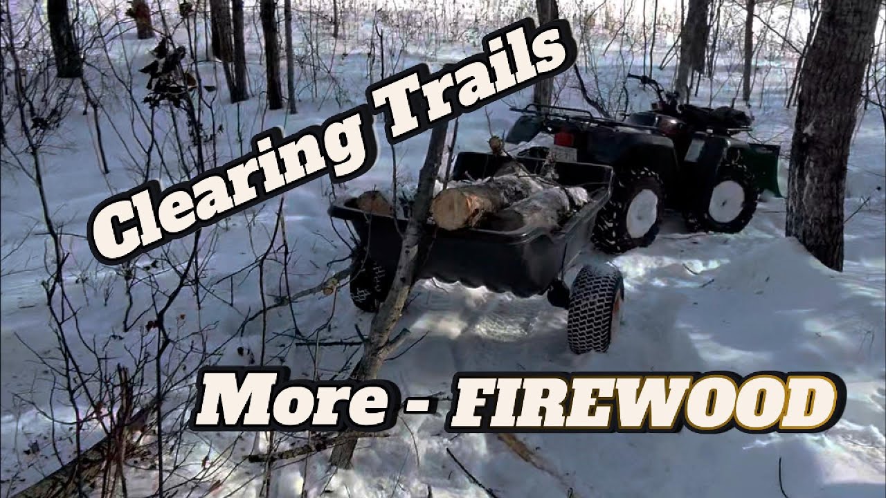 Forest Path Cleanup: Managing Overgrowth for Fire Safety and Winter Firewood