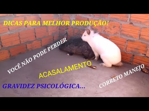 Vídeo: Handicap 0: o que é e como ganhar com ele