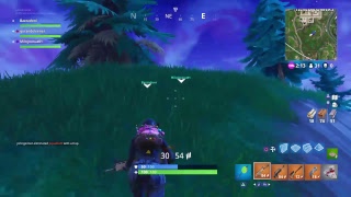 Fortnite Battle Royale Solid D