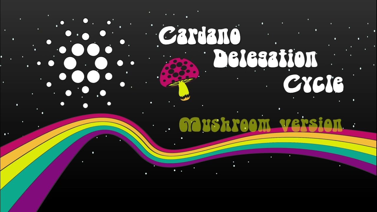 Cardano staking explicado - Ciclo de delegación. Las recompensas explicadas en 5 minutos.