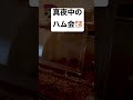 真夜中のハム会