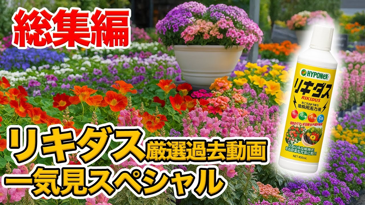 Archival Edition] A complete guide to the effects, usage, and