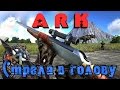 ARK Fittest - Стрела в голову