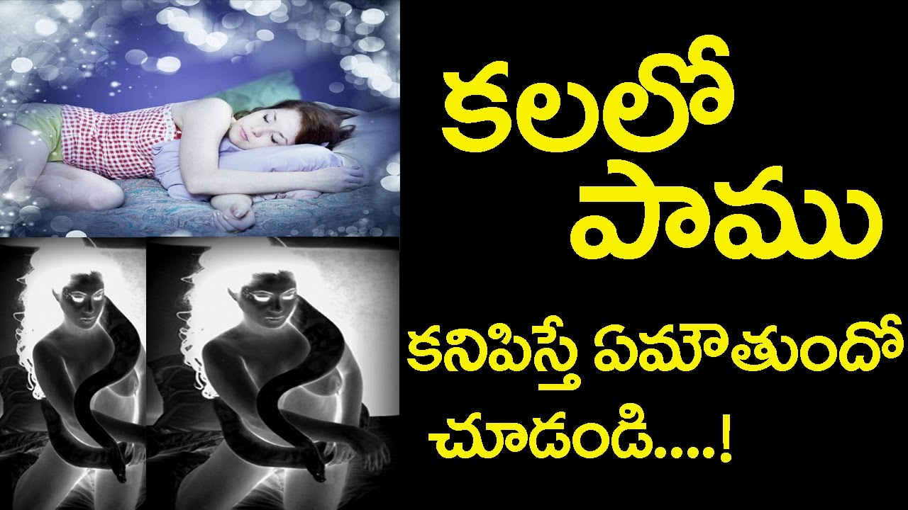 క‌ల‌లో పాము క‌నిపిస్తే ఏమౌతుందో చూడండి|What Does It Mean When You Dream