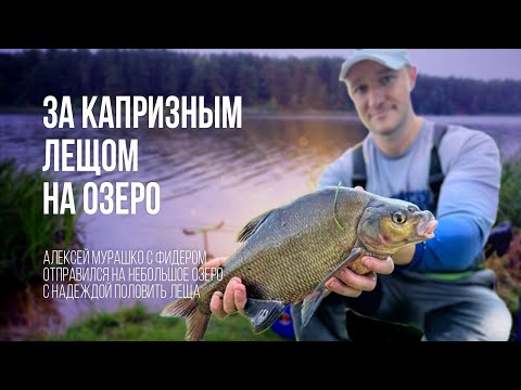 Рыбалка на леща. Ловля леща летом на водохранилище на фидер