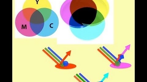 How do we see Colour? - Professor William Ayliffe