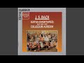 Capture de la vidéo Suite For Orchestra (Overture) No. 1 In C Major, Bwv 1066: Overture