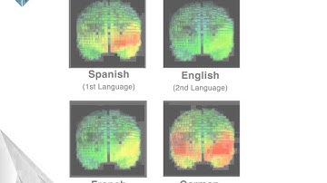TTI Success Insights UK   Welcome to the Global Family