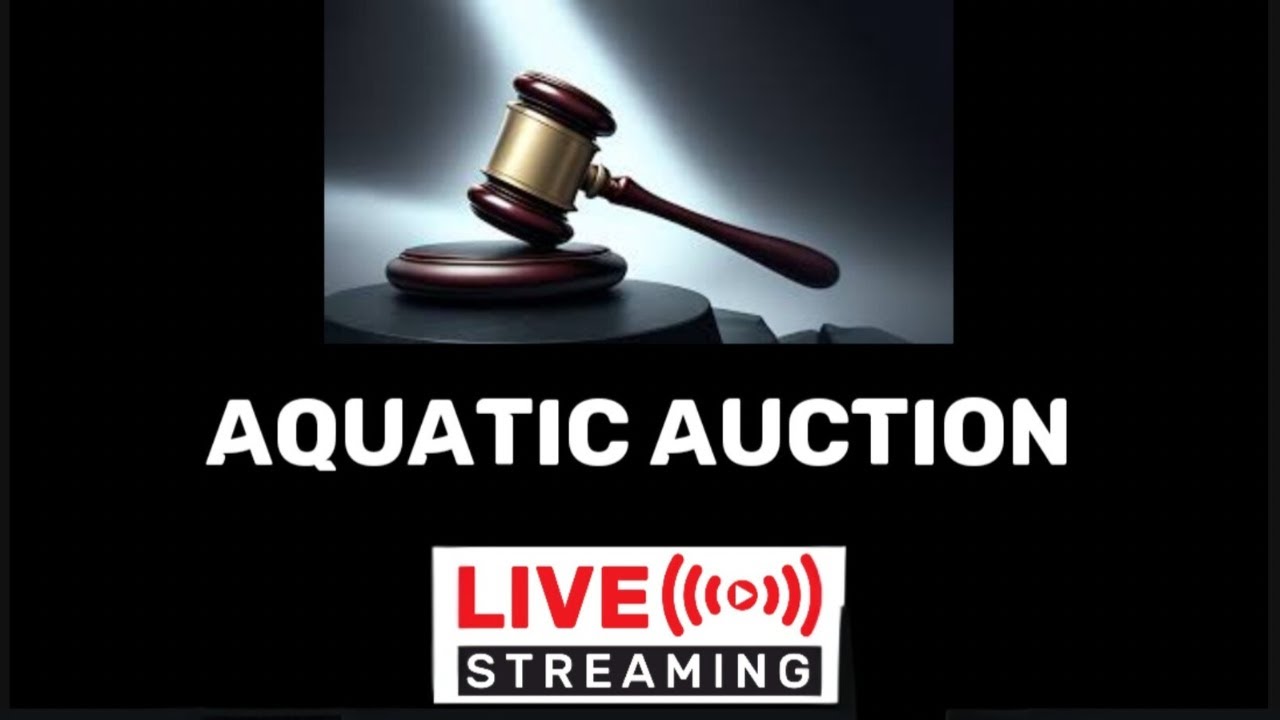 AAAA Aquatic Addicts Anonymouse live aquarist Auction #16!!
