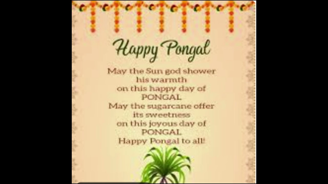 Happy sankranthi 2025