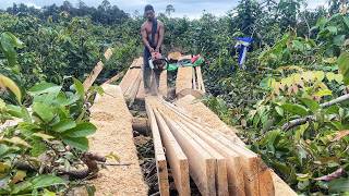 Download Lagu Proses Membuat Papan \u0026 Reng 3×4 dari Kayu Pulai | Murah dan Mudah! MP3