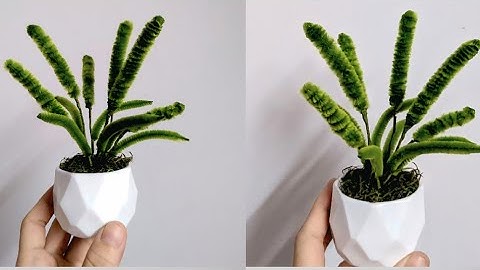 Làm chậu hoa cỏ đuôi chó kẽm nhung - DIY pipe cleaner flower #velvetwire  #diy #handmade  #tutorial