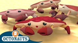Octonauts - The Red Rock Crabs | Cartoons for Kids | Underwater Sea Education