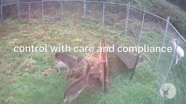 Skyline Management Systems Introduction