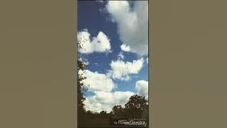 Jen Ledger - BOLD ~magyar szöveggel~