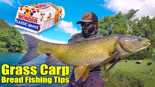 Monster Mike's Carp Fishing Secrets! How to Catch BIG Grass Carp!