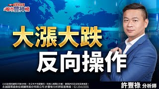 大漲大跌反向操作《股市豐神榜》許豐祿分析師 20250204