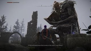 ELDEN RING - Friend ahead, in short giant!