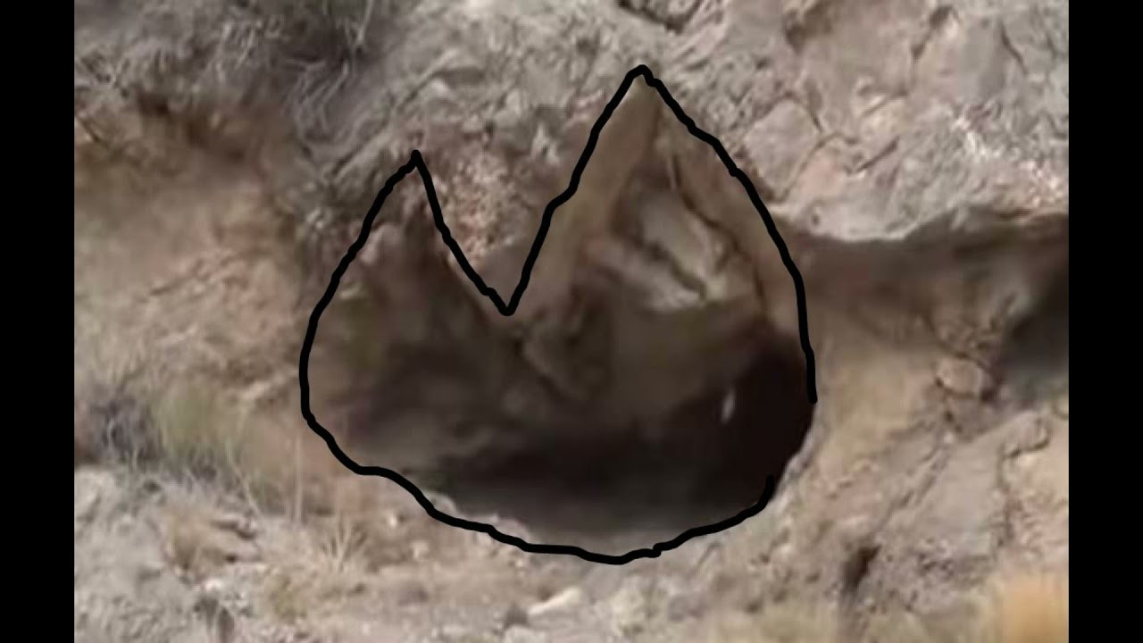 Kenny Veach "M Cave" and why he LIED about it and others didnt see it