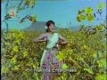 Bangaarada Manushya Baala Bangaara Neenu Bangaarada Manushya Baala Bangaara Neenu