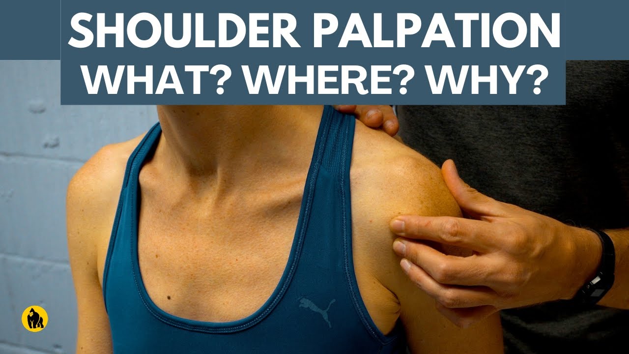 Shoulder Palpation (Physical Therapy) - YouTube