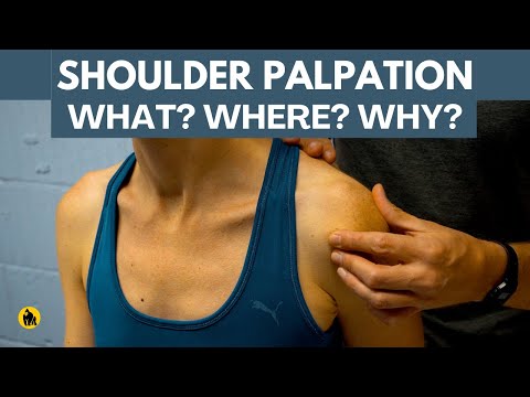 Shoulder Palpation (Physical