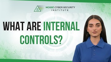 What are Internal Controls?