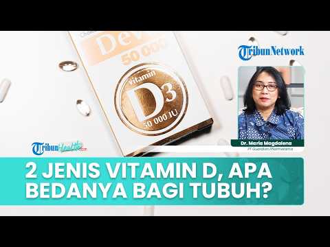 Vitamin D2 vs. D3: What’s the Difference and Which Is More Important for Your Body?