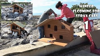 Tough Winter is Coming for Stray Cats  Construction of Prefab Cat House for Homeless Cats. 1 in 10