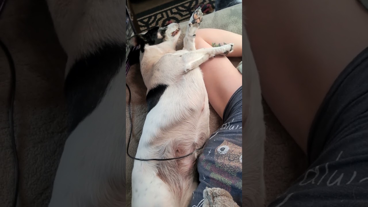 Cozy Lucy Time Space Pie Slice Stretches For the Win