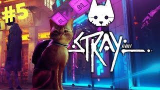 Stray Gameplay Walkthrough | Chapter 5 | Rooftops