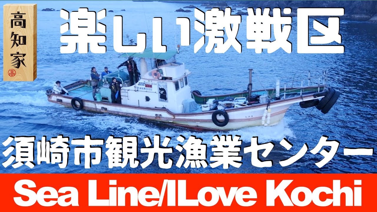 【須崎市観光センターポイントへの行き方は？】須崎が初めての方は必見！【シーライン釣果ノート31】Ocean fishing