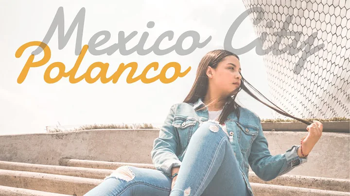 POLANCO, MEXICO CITY - Brandi El Chido