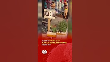 Xác minh vụ việc CSGT dùng tay kẹp cổ, đè tài xế taxi xuống đất | 60s Tin Tức #60news