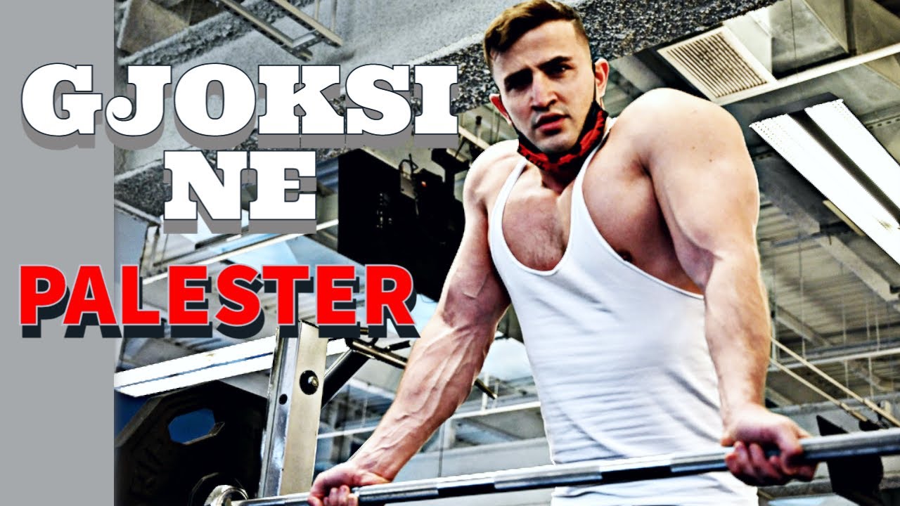 Si Ti Stervitesh Muskujt E Gjoksit [Guida E Plote]