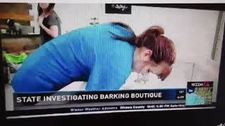 BREAKING NEWS: The Barking Boutique- State Investigates Illegal Puppy Importation