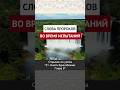 Слова пророков во время испытаний || Ринат абу Ибрахим #ислам #коран #вера #бог #намаз #сунна #мир