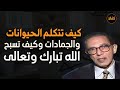 كيف تتكلم الحيوانات و الكائنات الأخرى من أروع حلقات الدكتور مصطفى محمود رحمه الله 