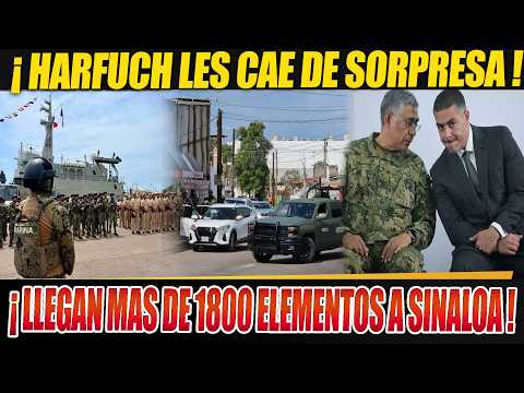 HARFUCH LAUNCHES SURPRISE ATTACK! THE PRESIDENT GIVES THE ORDER, 1800 TROOPS ARRIVE TO SECURE SIN...
