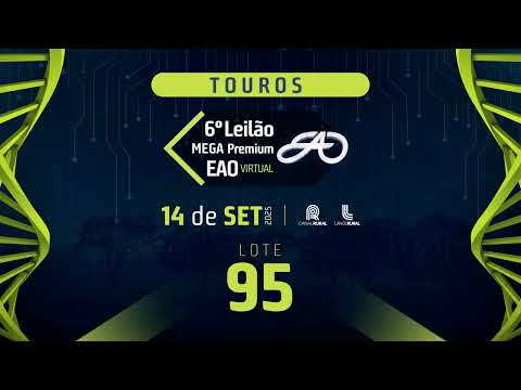 LOTE 95