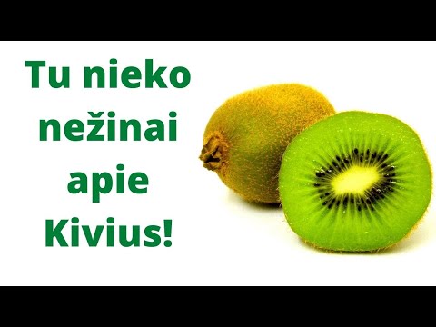 Ar sveika valgyti kivius? | Sveika Mityba