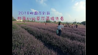 【桃園景點Vlog4】2018桃園花彩節楊梅展區 超夢幻紫色仙草花區必看必逛【ＷooYa遊民】
