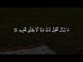 أجمل صوت ممكن تسمعة حرفيا سورة ق كاملة للقارئ هاني العزوني استوديو روائع التلاوات