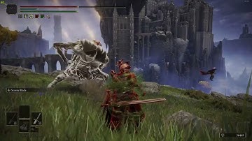 Elden Ring Hacking is getting out of hand.