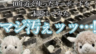 【閲覧注意】10年近く使い続けてるキーボードを掃除したらえらいことになっ【ゆっくり】