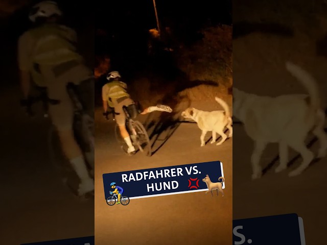 Das war knapp! 😬🐕