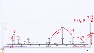 Lecture 17 : Introduction to MS-based Proteomics- II (Hands-on session)
